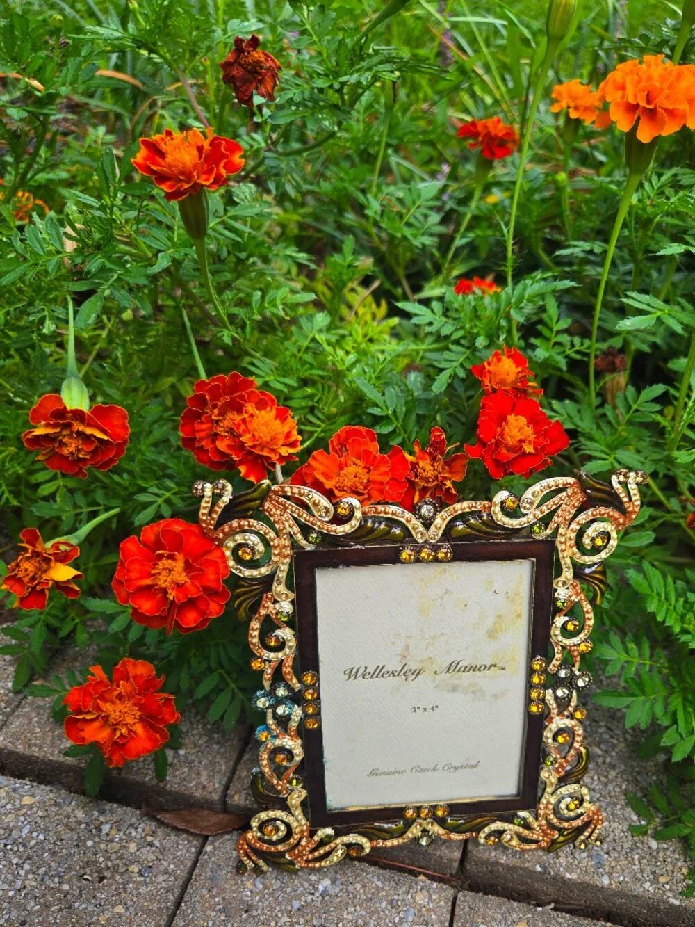 Wellesley Manor add luxurious